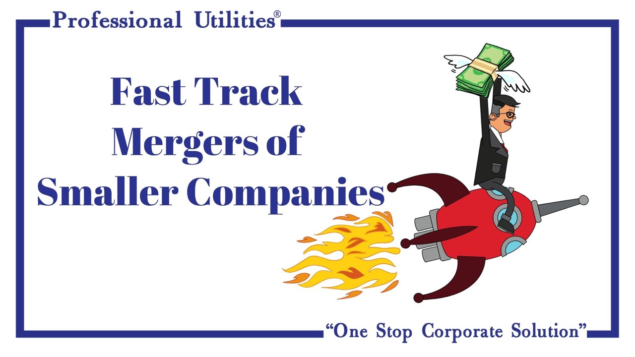 fast track mergers of smaller companies